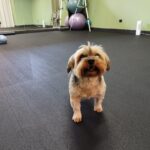 WhatsApp Image 2023-07-04 at 10.37.20 (1)